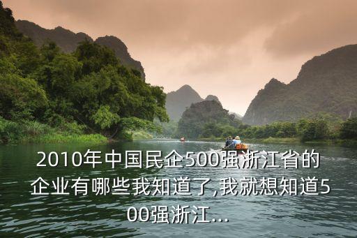 2010年中國(guó)民企500強(qiáng)浙江省的 企業(yè)有哪些我知道了,我就想知道500強(qiáng)浙江...