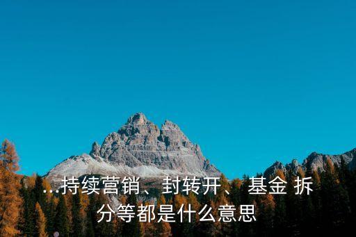 ...持續(xù)營銷、封轉(zhuǎn)開、 基金 拆分等都是什么意思