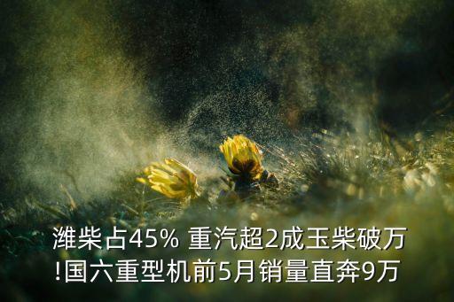  濰柴占45% 重汽超2成玉柴破萬!國六重型機前5月銷量直奔9萬