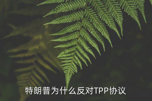 tpp受益股票