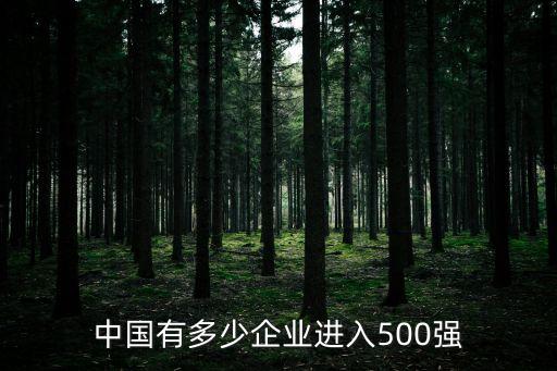 中國有多少企業(yè)進入500強