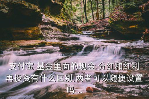 支付寶 基金里面的現金 分紅和紅利再投資有什么區(qū)別,兩者可以隨便設置嗎...