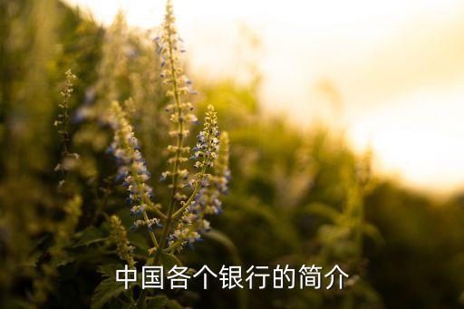 中國各個銀行的簡介