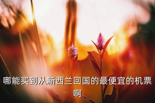 哪能買(mǎi)到從新西蘭回國(guó)的最便宜的機(jī)票啊