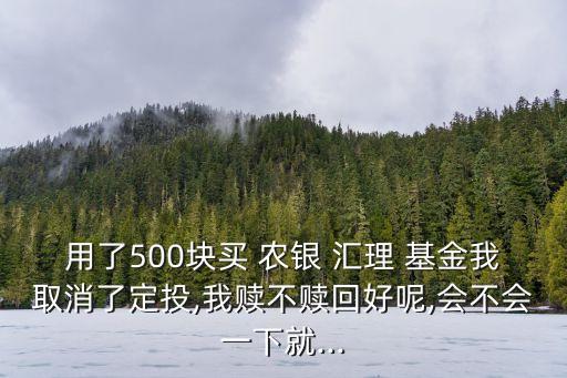 用了500塊買 農(nóng)銀 匯理 基金我取消了定投,我贖不贖回好呢,會(huì)不會(huì)一下就...