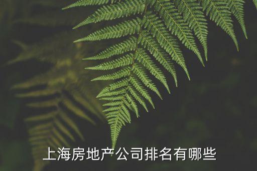  上海房地產(chǎn)公司排名有哪些