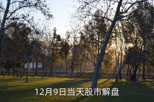 12月9日當天股市解盤