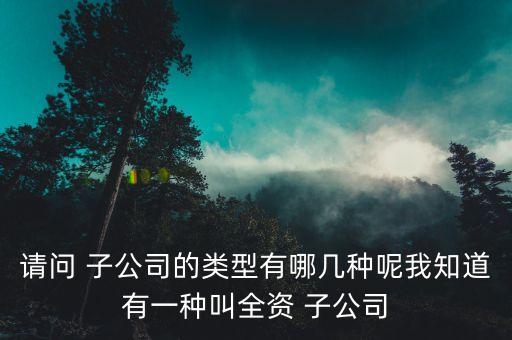 請(qǐng)問 子公司的類型有哪幾種呢我知道有一種叫全資 子公司