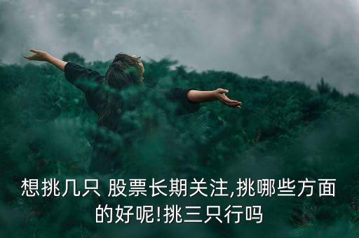 想挑幾只 股票長期關(guān)注,挑哪些方面的好呢!挑三只行嗎