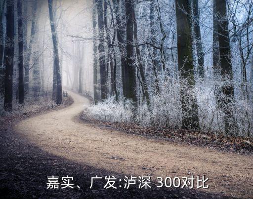  嘉實、廣發(fā):瀘深 300對比