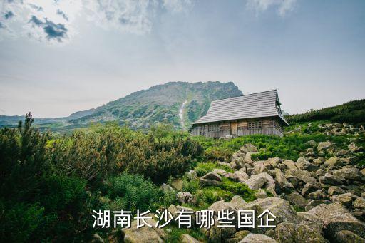  湖南長(zhǎng)沙有哪些國(guó)企