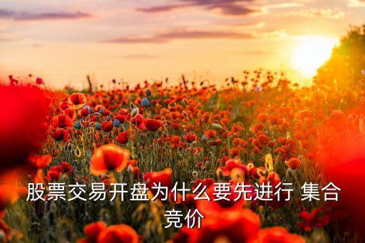  股票交易開盤為什么要先進(jìn)行 集合 競價