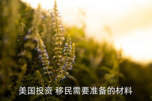 美國投資 移民需要準(zhǔn)備的材料