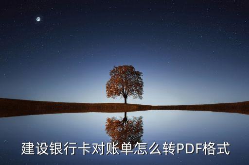  建設(shè)銀行卡對賬單怎么轉(zhuǎn)PDF格式