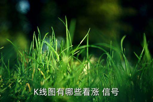 股票起漲信號,股票出現(xiàn)R信號是什么意思