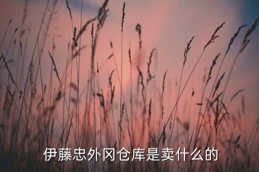  伊藤忠外岡倉(cāng)庫(kù)是賣(mài)什么的