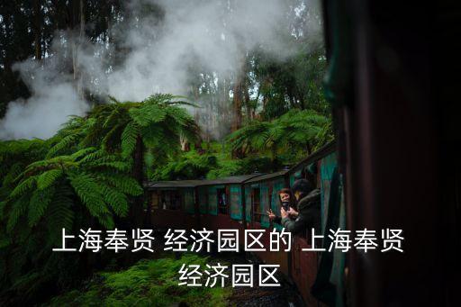 洋山深水港與上海經(jīng)濟,上海洋山深水港物流園區(qū)