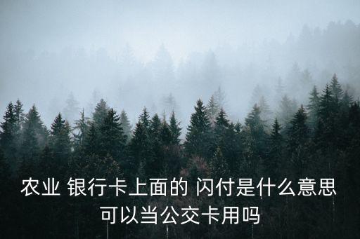 農(nóng)業(yè) 銀行卡上面的 閃付是什么意思可以當(dāng)公交卡用嗎