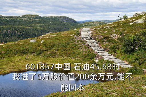 601857中國(guó) 石油45.68時(shí)我進(jìn)了5萬(wàn)股價(jià)值200余萬(wàn)元,能不能回本