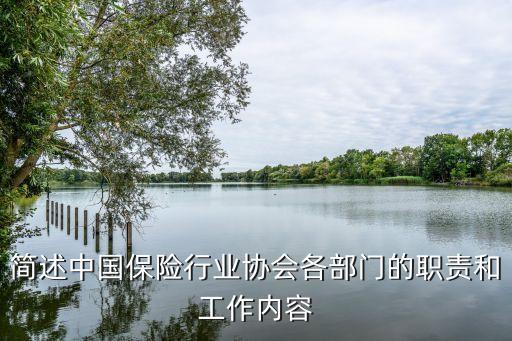 簡(jiǎn)述中國保險(xiǎn)行業(yè)協(xié)會(huì)各部門的職責(zé)和工作內(nèi)容