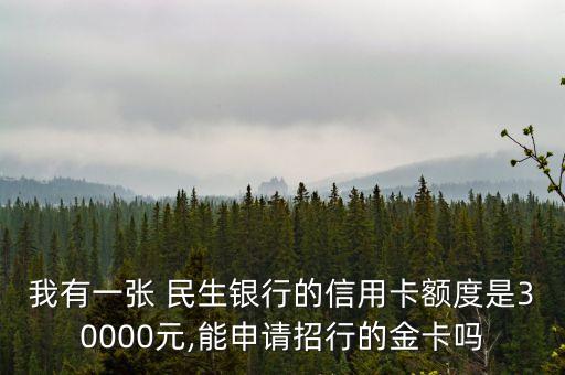 我有一張 民生銀行的信用卡額度是30000元,能申請招行的金卡嗎