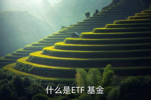 上證指數(shù)etf基金,滬深300指數(shù)基金怎么買(mǎi)