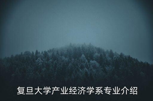  復(fù)旦大學(xué)產(chǎn)業(yè)經(jīng)濟學(xué)系專業(yè)介紹