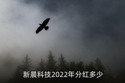  新晨科技2022年分紅多少