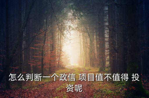 怎么判斷一個(gè)政信 項(xiàng)目值不值得 投資呢