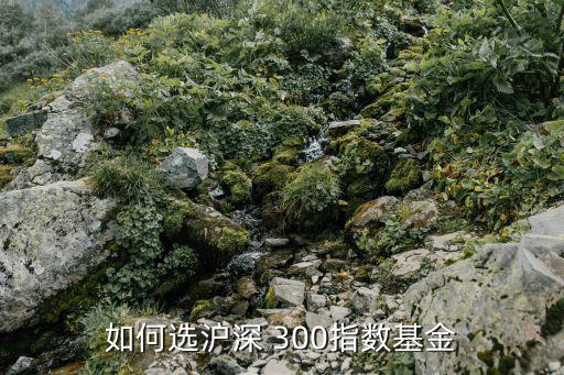 怎么投資滬深300,上海滬深投資集團(tuán)