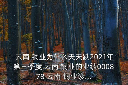  云南 銅業(yè)為什么天天跌2021年第三季度 云南 銅業(yè)的業(yè)績(jī)000878 云南 銅業(yè)診...