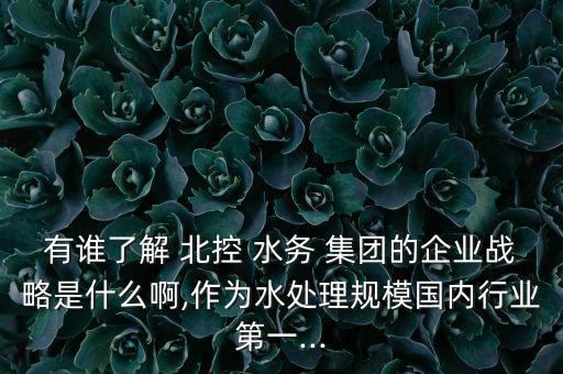 有誰了解 北控 水務 集團的企業(yè)戰(zhàn)略是什么啊,作為水處理規(guī)模國內行業(yè)第一...