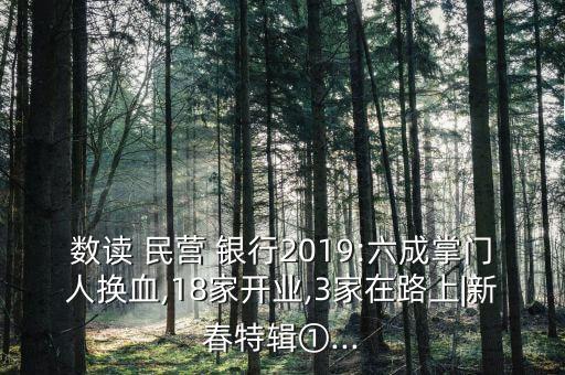 數讀 民營 銀行2019:六成掌門人換血,18家開業(yè),3家在路上|新春特輯①...