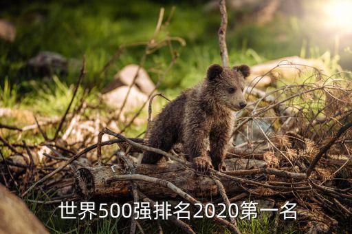  世界500強排名2020第一名