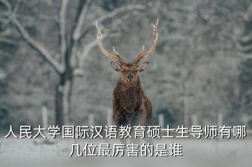 人民大學(xué)國(guó)際漢語(yǔ)教育碩士生導(dǎo)師有哪幾位最厲害的是誰(shuí)