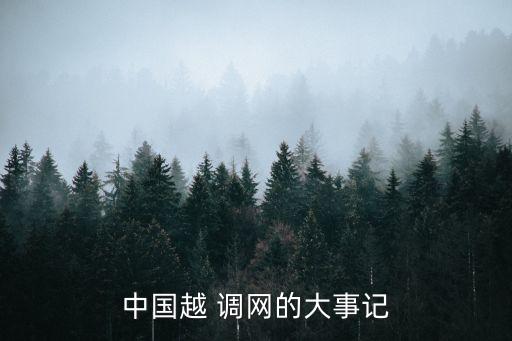 中國(guó)越 調(diào)網(wǎng)的大事記