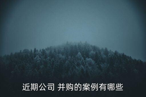 我國銀行海外并購問題