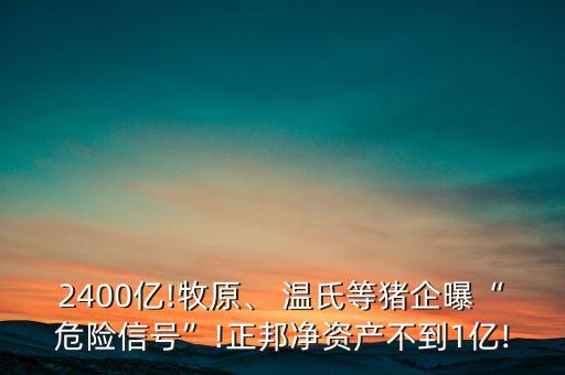 2400億!牧原、 溫氏等豬企曝“危險(xiǎn)信號(hào)”!正邦凈資產(chǎn)不到1億!