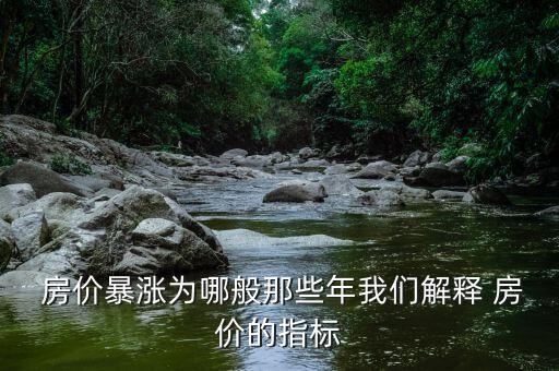  房價暴漲為哪般那些年我們解釋 房價的指標