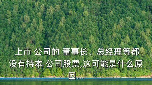  上市 公司的 董事長(zhǎng)、總經(jīng)理等都沒有持本 公司股票,這可能是什么原因...