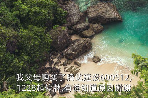 我父母購(gòu)買(mǎi)了騰達(dá)建設(shè)600512,1228起停牌,有誰(shuí)知道原因謝謝