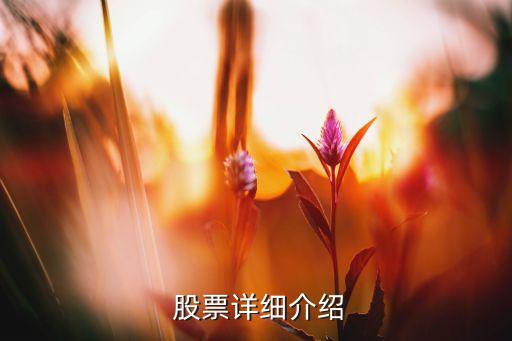  股票詳細(xì)介紹