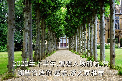 2020年下半年,想要入場的話,有哪些合適的 基金,求大家推薦