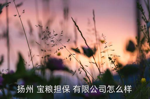 揚州 寶糧擔(dān)保 有限公司怎么樣