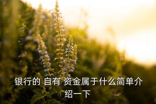  銀行的 自有 資金屬于什么簡(jiǎn)單介紹一下