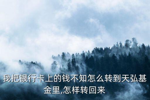 我把銀行卡上的錢不知怎么轉(zhuǎn)到天弘基金里,怎樣轉(zhuǎn)回來