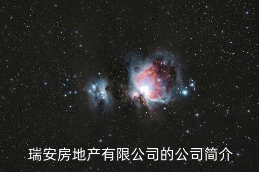  瑞安房地產(chǎn)有限公司的公司簡(jiǎn)介