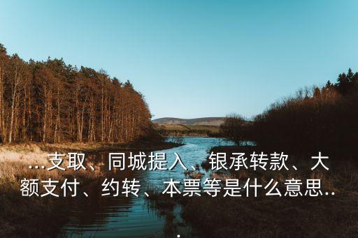 ...支取、同城提入、銀承轉(zhuǎn)款、大額支付、約轉(zhuǎn)、本票等是什么意思...