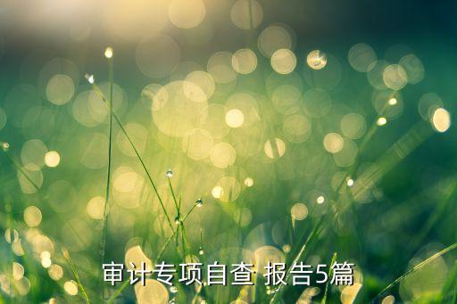 擔保公司整改報告