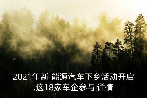 2021年新 能源汽車下鄉(xiāng)活動開啟,這18家車企參與|詳情